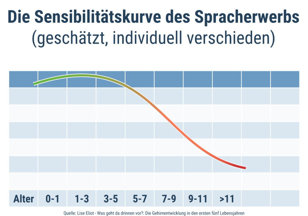 Sensibilitätskurve des Spracherwerb Entwicklungs-Diagramm mit Sensibilitätskurve des Spracherwerbs